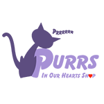 Purr Cat Toys PURRS In Our Hearts Shop